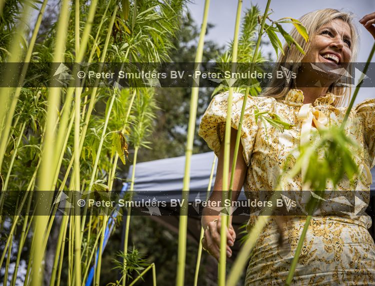 Hengelo 3 september 2026
Koningin Maxima helpt mee met het telen van vezelhennep tijdens een bezoek aan de Achterhoek in het kader van Biobased bouwen. 