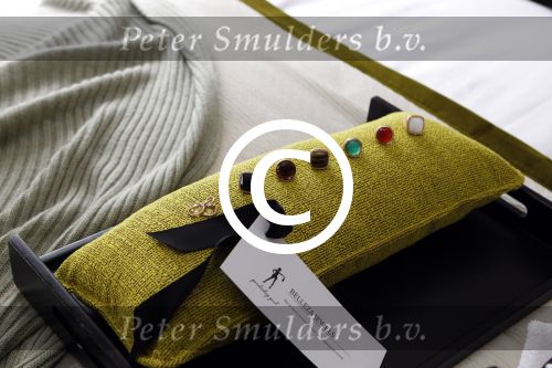 Amsterdam 29 maart 2012
Presentatie goodie bags bedrijf in hotel the grand met div bn ers.
Peter Smulders bv