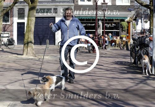 Amsterdam 2 april 2013
Hans v d Togt aan het wandelen met zijn hond en twee andere honden.
Peter Smulders bv