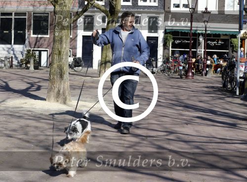 Amsterdam 2 april 2013
Hans v d Togt aan het wandelen met zijn hond en twee andere honden.
Peter Smulders bv