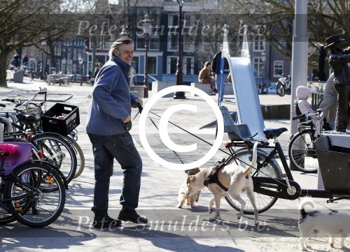 Amsterdam 2 april 2013
Hans v d Togt aan het wandelen met zijn hond en twee andere honden.
Peter Smulders bv