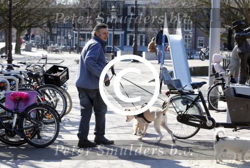 Amsterdam 2 april 2013
Hans v d Togt aan het wandelen met zijn hond en twee andere honden.
Peter Smulders bv