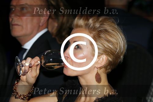 Hilversum 26 maart 2015
Gala stichting hulphond in studio 21. Anouk Smulders