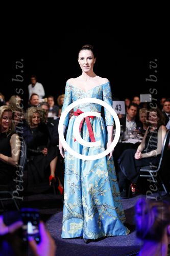 Hilversum 26 maart 2015
Gala stichting hulphond in studio 21
Paul Schulten en Job Ubbens