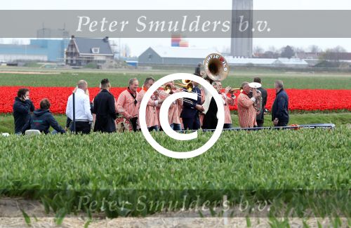 Lisse 9 april 2016
Doop van tulip Estavana Polman in de keukenhof. Estavana is de nieuwe vriendin van Rafael v d Vaart. Haar ouders zijn ook aanwezig.