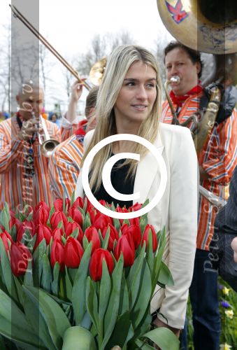 Lisse 9 april 2016
Doop van tulip Estavana Polman in de keukenhof. Estavana is de nieuwe vriendin van Rafael v d Vaart. Haar ouders zijn ook aanwezig.