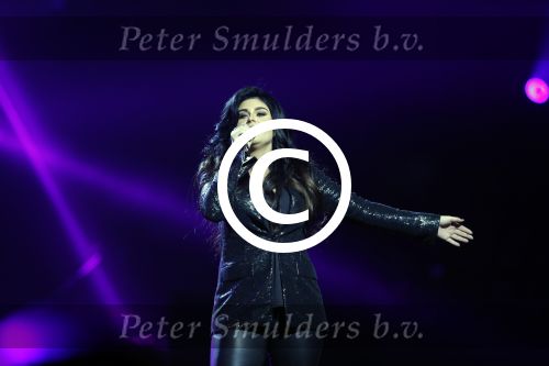 Amsterdam 17 maart 2016 
Heel holland zingt Hazes in het ziggo dome met oa Roxeanne Hazes Andre Hazes jr Jeroen v d Boom en Xander de Buisonje
