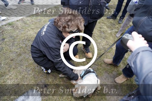 Biddinghuizen 5 maart 2017
De hollandse 100 op de ijsbaan in Biddinghuizen georganiseerd door Prins Bernhard.