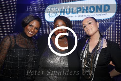 Aalsmeer 29 maart 2017
Hulphond gala in Aalsmeer studio\'s. Trijntje Oosterhuis met Shirma en Edsilia Rombley