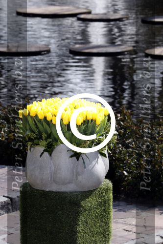 Lisse Keukenhof 28 maart 2017
Wendy v Dijk doopt haar tulp. Dochter Lizzy Broer Mike en haar moeder zijn erbij.