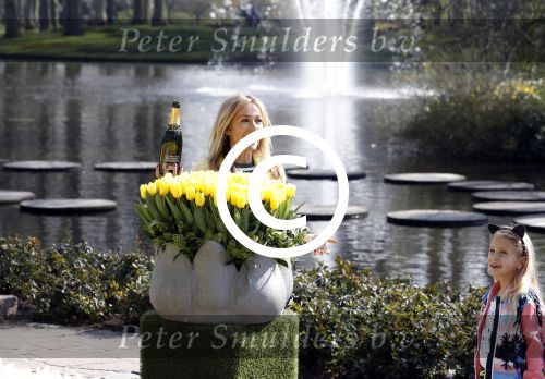 Lisse Keukenhof 28 maart 2017
Wendy v Dijk doopt haar tulp. Dochter Lizzy Broer Mike en haar moeder zijn erbij.