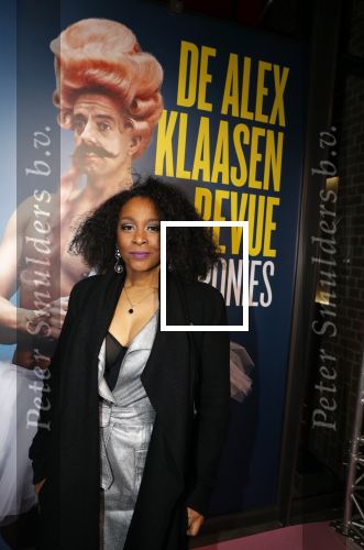 Amsterdam 19 maart 2018
Premiere Alex Klaasen in delamar theater