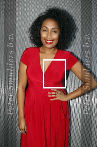 Amsterdam 14 maart 20189
perspresentatie van The Color Purple. Met oa  Naomi van der Linden, Carmen van Mulier, Edwin Jonker, Ana Milva Gomes, Jeannine la Rose, Carlos de Vries, Joanne Telesford, Jennifer Norden, Kenneth Herdigein, Jerrel Houtsnee, Elindo Avastia, Malaika Elvers en Caitlin Baank.