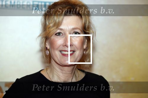Amsterdam 12 maart 2018
Premiere Dorst in het delamar theater. 
Ariane Schluter