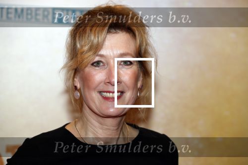 Amsterdam 12 maart 2018
Premiere Dorst in het delamar theater. 
Ariane Schluter