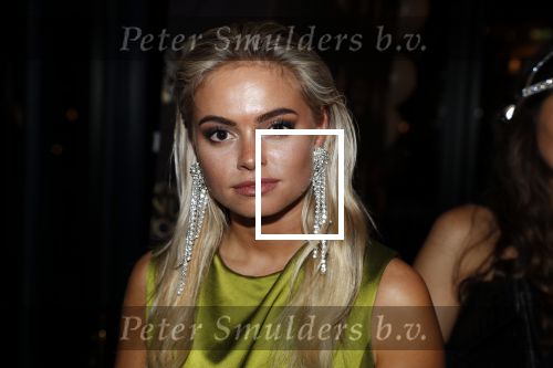 Amsterdam 4 april 2018
Feestje magnum ijs in het Amstel Hotel. Claartje Rose Claire Cliteur