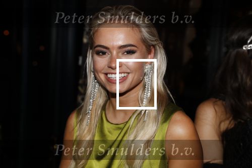 Amsterdam 4 april 2018
Feestje magnum ijs in het Amstel Hotel. Claartje Rose Claire Cliteur