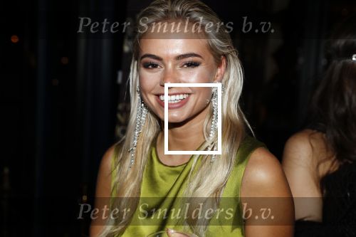 Amsterdam 4 april 2018
Feestje magnum ijs in het Amstel Hotel. Claartje Rose Claire Cliteur