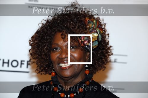 Amsterdam 24 maart 2018
premiÃ¨re Dutch Doubles ballet in de stopera. Gerda Havertong met man