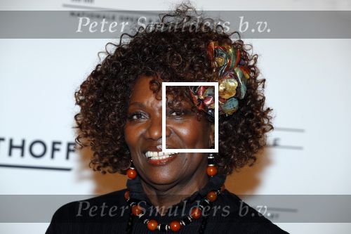 Amsterdam 24 maart 2018
premiÃ¨re Dutch Doubles ballet in de stopera. Gerda Havertong met man