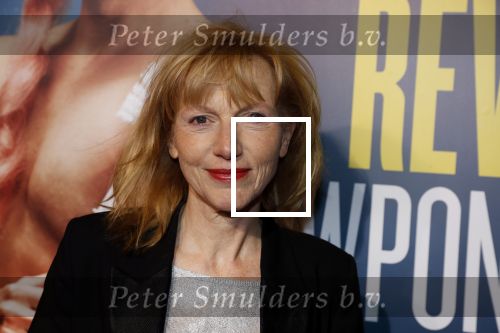 Amsterdam 19 maart 2018
Premiere Alex Klaasen in delamar theater. Johanna ter Steege