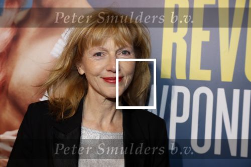 Amsterdam 19 maart 2018
Premiere Alex Klaasen in delamar theater. Johanna ter Steege