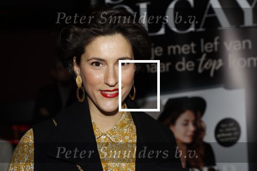 Amsterdam 15 maart 2018 
Boekpresentatie Olcay Gulsen in Conservatorium hotel. Kristina Bozilovic
