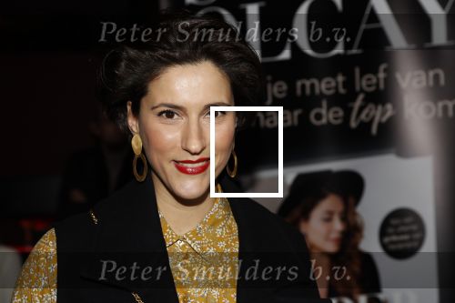 Amsterdam 15 maart 2018 
Boekpresentatie Olcay Gulsen in Conservatorium hotel. Kristina Bozilovic