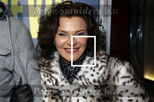 Amsterdam 19 maart 2018
Premiere Alex Klaasen in delamar theater. Mylene de lahaye met ..