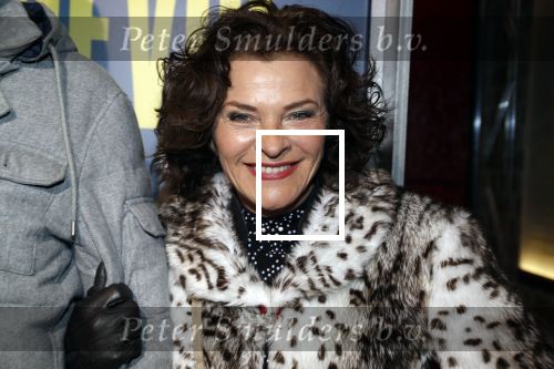 Amsterdam 19 maart 2018
Premiere Alex Klaasen in delamar theater. Mylene de lahaye met ..