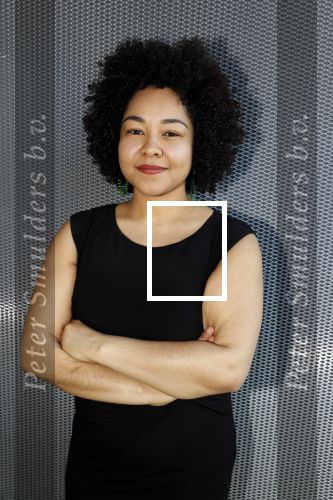 Amsterdam 14 maart 20189
perspresentatie van The Color Purple. Met oa  
Naomi v d Linden