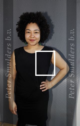 Amsterdam 14 maart 20189
perspresentatie van The Color Purple. Met oa  
Naomi v d Linden