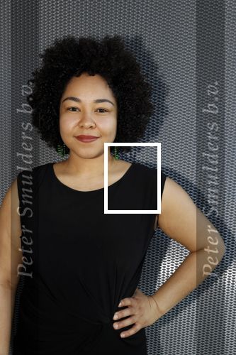 Amsterdam 14 maart 20189
perspresentatie van The Color Purple. Met oa  
Naomi v d Linden