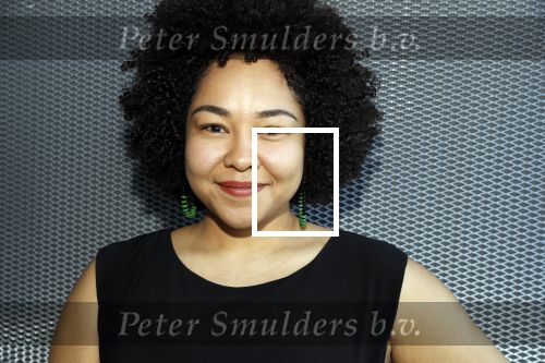 Amsterdam 14 maart 20189
perspresentatie van The Color Purple. Met oa  
Naomi v d Linden