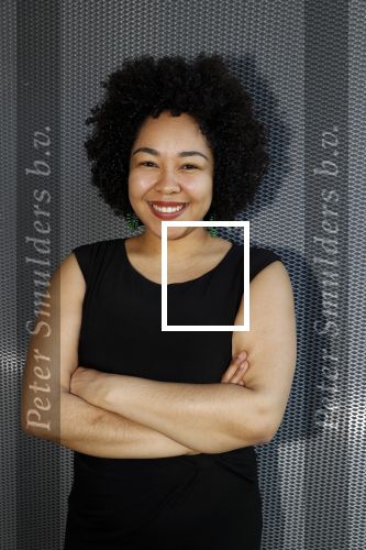 Amsterdam 14 maart 20189
perspresentatie van The Color Purple. Met oa  
Naomi v d Linden