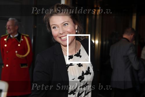 Amsterdam 29 maart 2018 
Premiere Sunset Boulevard in Carre. Nova v Dijk