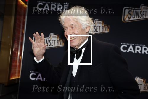 Amsterdam 29 maart 2018 
Premiere Sunset Boulevard in Carre. Paul v Vliet met vrouw