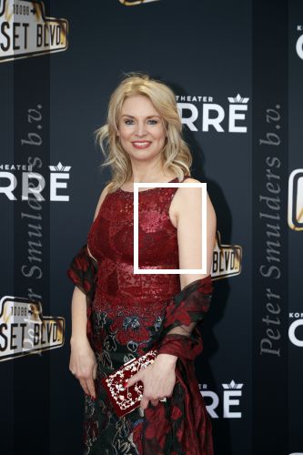Amsterdam 29 maart 2018 
Premiere Sunset Boulevard in Carre. Pernille la Lau