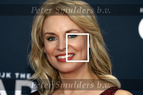 Amsterdam 29 maart 2018 
Premiere Sunset Boulevard in Carre. Pernille la Lau