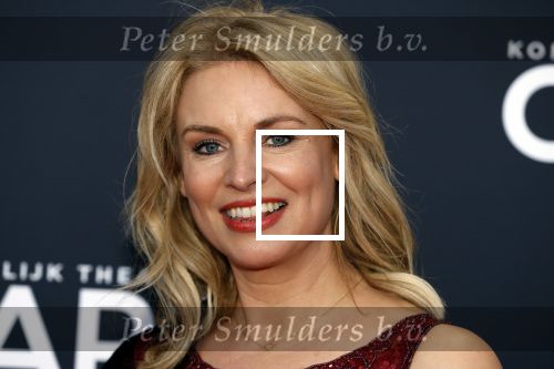 Amsterdam 29 maart 2018 
Premiere Sunset Boulevard in Carre. Pernille la Lau