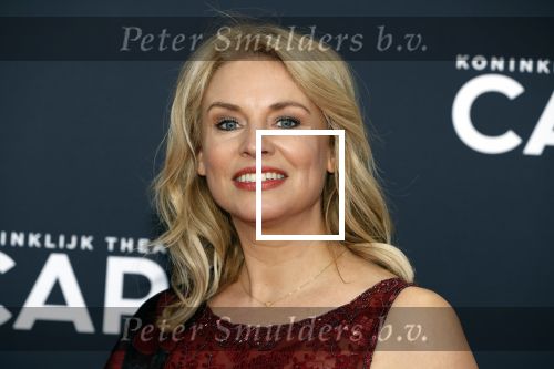 Amsterdam 29 maart 2018 
Premiere Sunset Boulevard in Carre. Pernille la Lau
