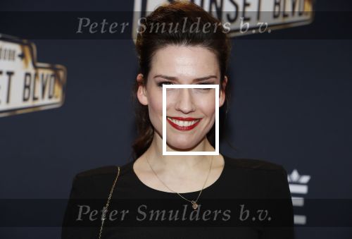 Amsterdam 29 maart 2018 
Premiere Sunset Boulevard in Carre. Renee  Wegberg