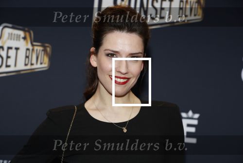 Amsterdam 29 maart 2018 
Premiere Sunset Boulevard in Carre. Renee  Wegberg