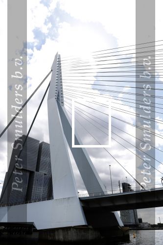 Rotterdam 9 mei 2017
Skyline en diverse gebouwen Rotterdam incl de erasmusbrug.