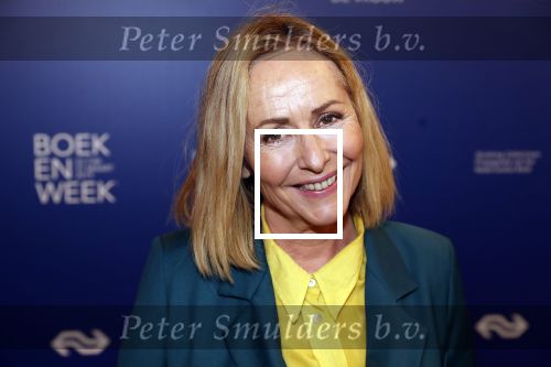 Amsterdam 22 maart 2019
Boekenbal in de amsterdamse schouwburg. Angela Groothuizen