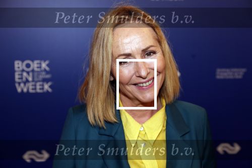 Amsterdam 22 maart 2019
Boekenbal in de amsterdamse schouwburg. Angela Groothuizen