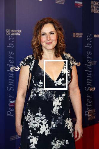 Amsterdam 22 maart 2019
Boekenbal in de amsterdamse schouwburg. 
Anniko v Santen