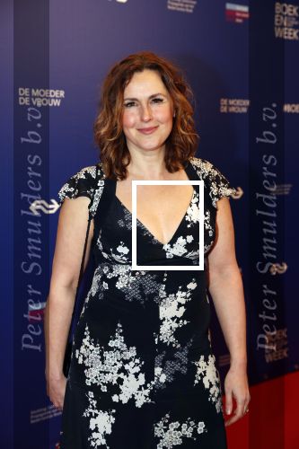 Amsterdam 22 maart 2019
Boekenbal in de amsterdamse schouwburg. 
Anniko v Santen