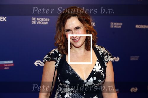 Amsterdam 22 maart 2019
Boekenbal in de amsterdamse schouwburg. 
Anniko v Santen