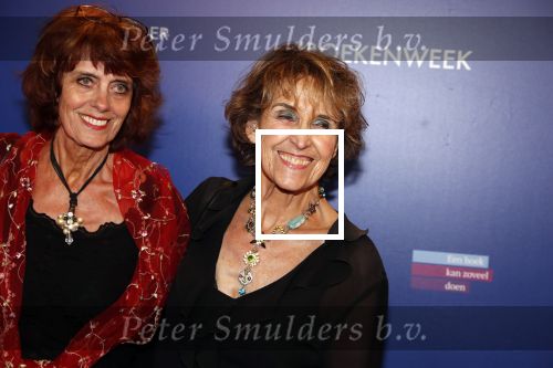Amsterdam 22 maart 2019
Boekenbal in de amsterdamse schouwburg.